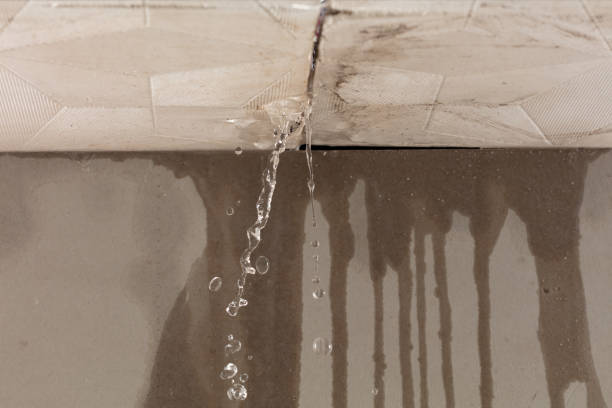 Professional Water Extraction technician working in Evansville, IN